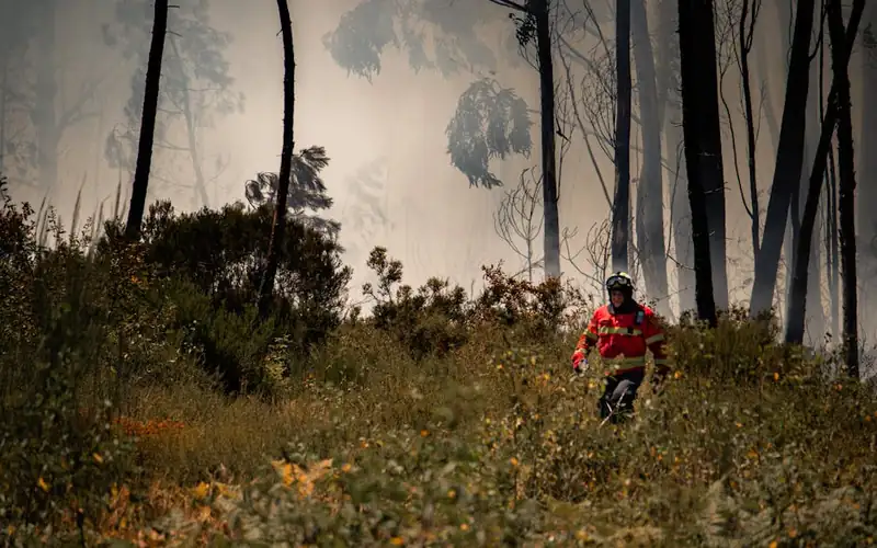 Oposiciones Bombero Forestal